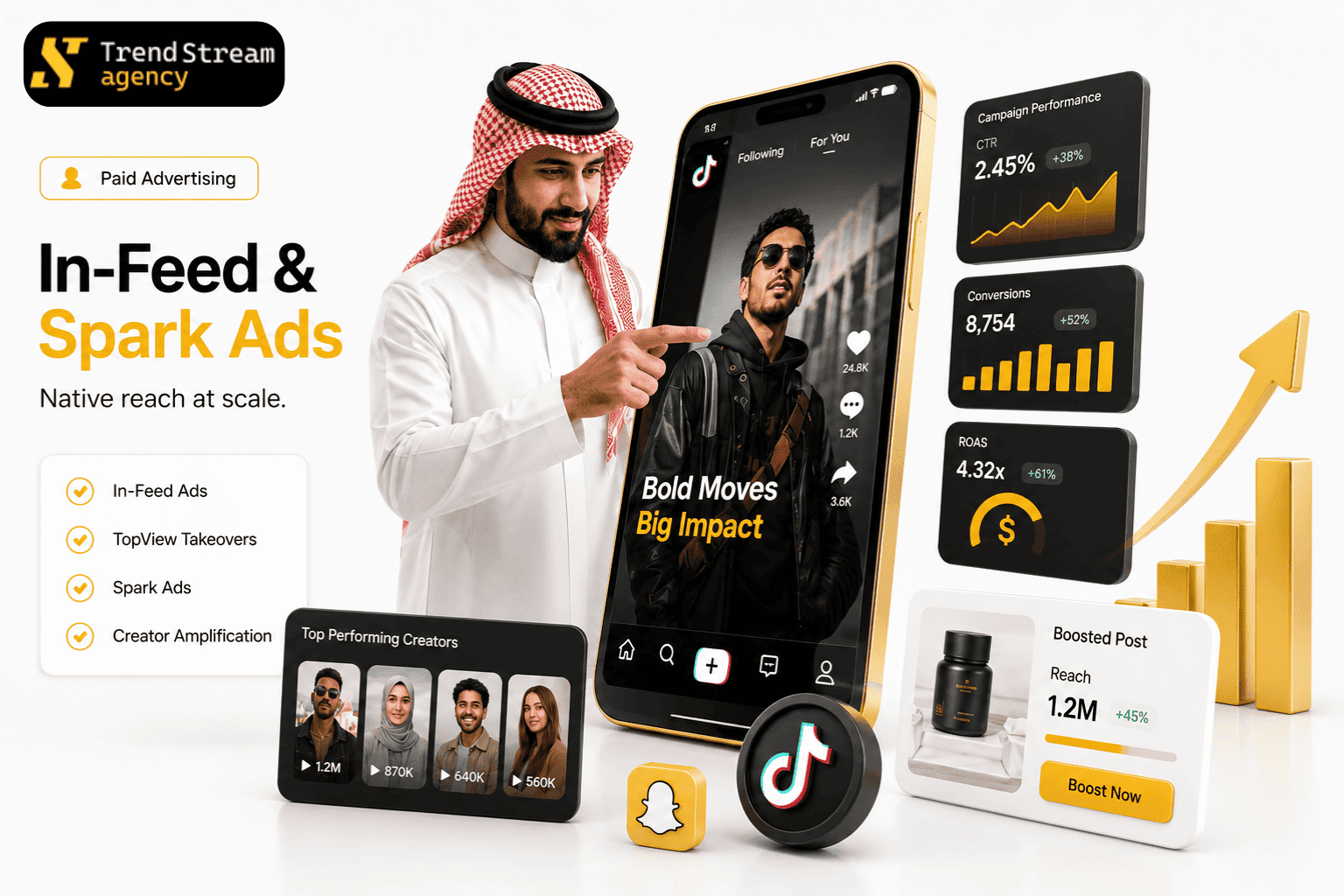In-Feed and Spark Ads Campaign Dashboard