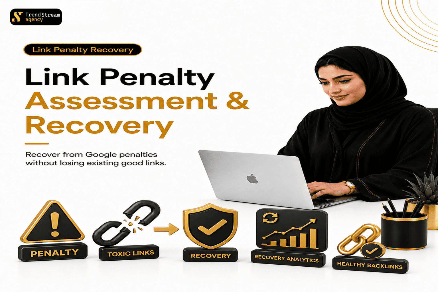 Link penalty recovery and Google disavow assessment service