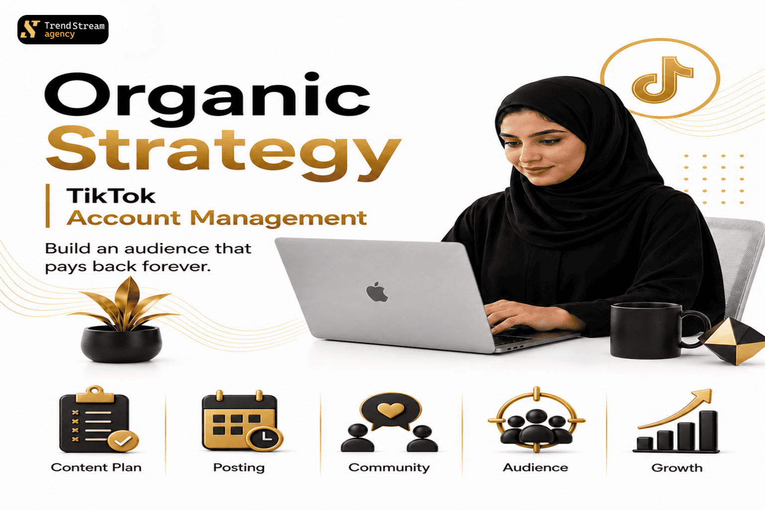TikTok Organic Account Management - Content Growth