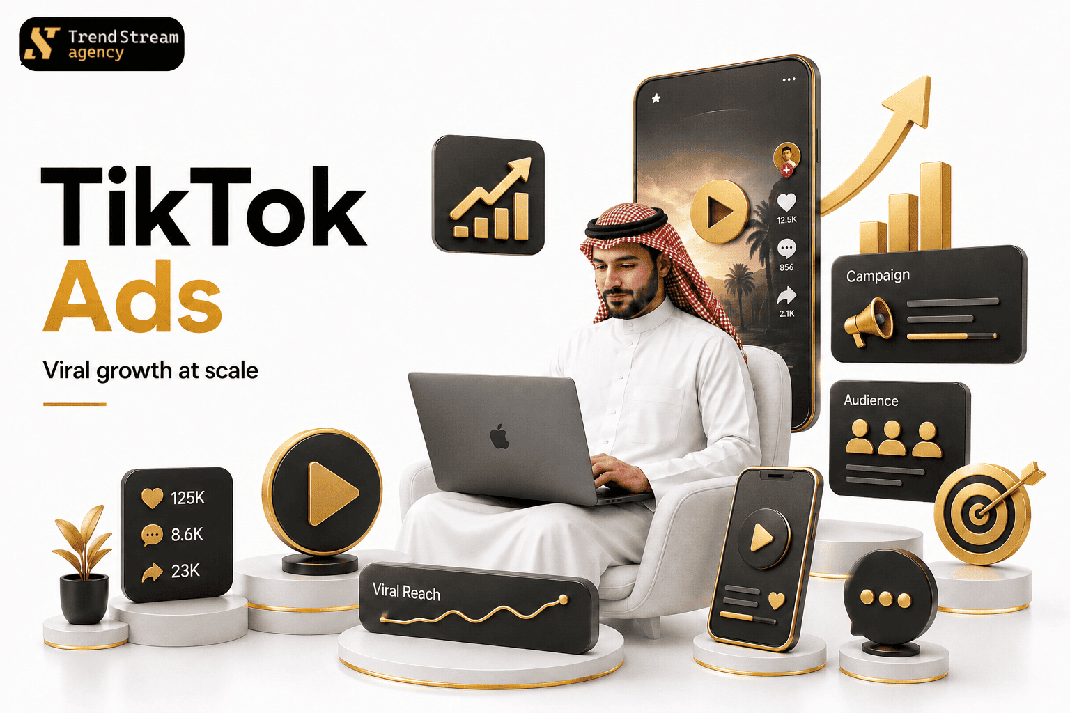 TikTok Service